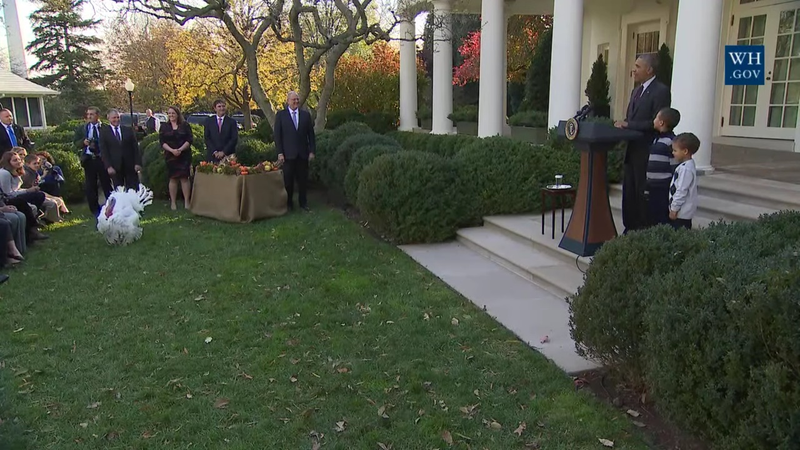 Illustration for article titled Here's a Livestream of President Obama Pardoning His Last Turkey